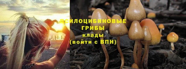 spice Одинцово