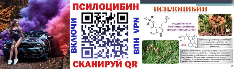 где купить наркотик  даркнет телеграм  Псилоцибиновые грибы мицелий  Краснозаводск 